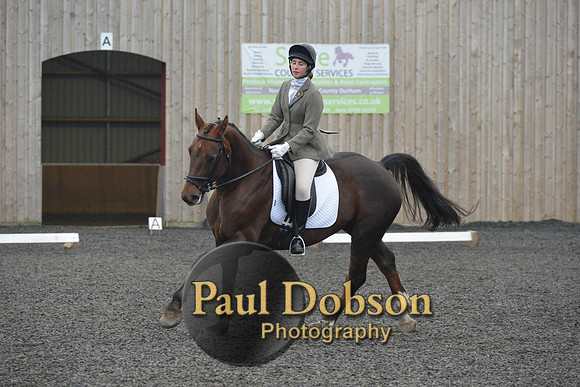 dressage-4883