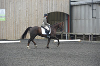 dressage-4874