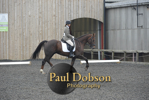 dressage-4874