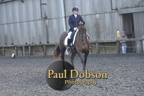 dressage-6861