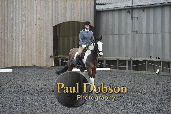 dressage-6315