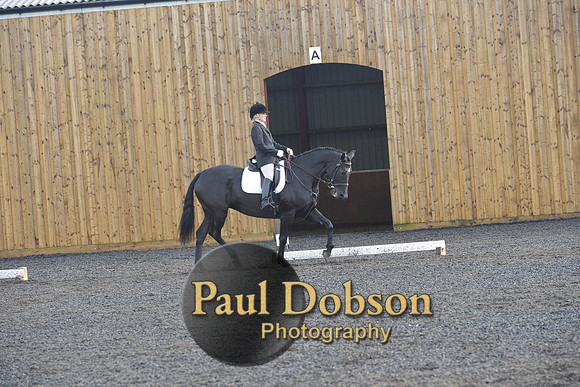 dressage-6879