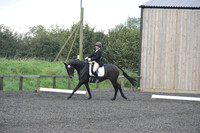 dressage-5166