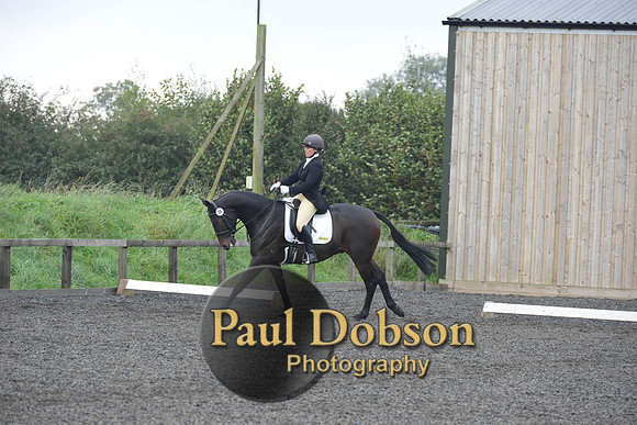dressage-5166