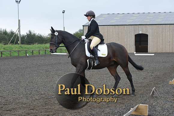 dressage-5170