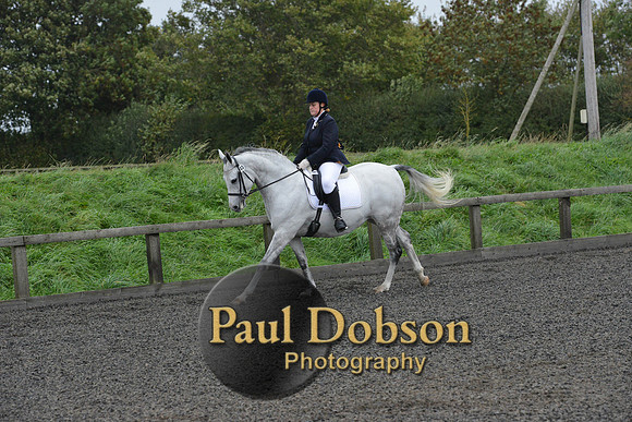 dressage-5968