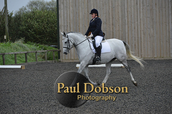 dressage-5961