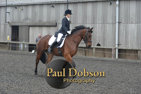 dressage-4928