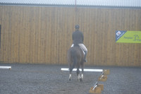 dressage-6742