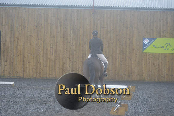 dressage-6742