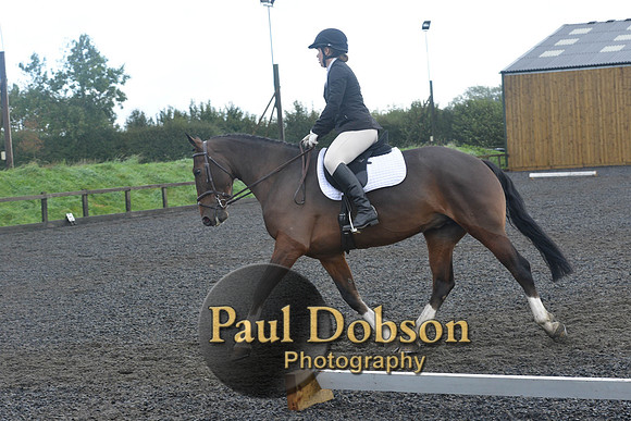 dressage-6762