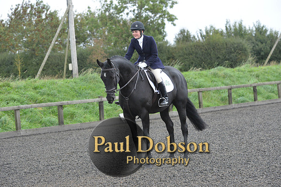 dressage-5916