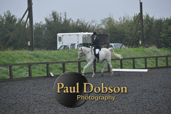 dressage-6489