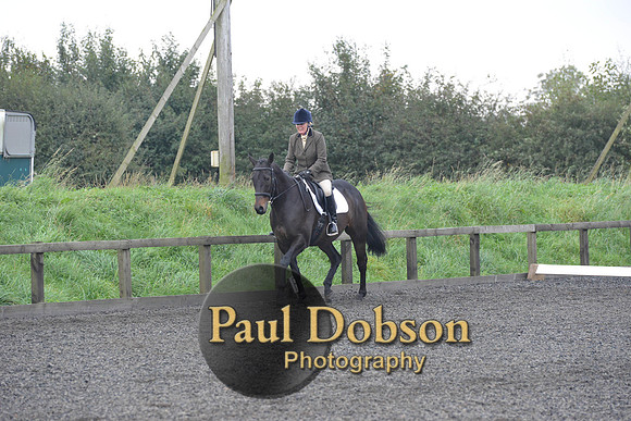 dressage-5181
