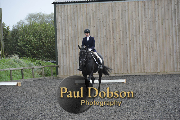 dressage-5913