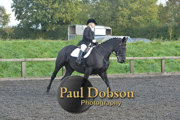 dressage-6877