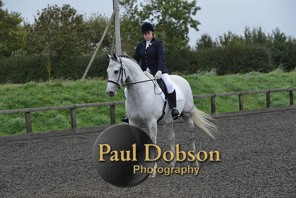dressage-5974