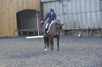 dressage-6856