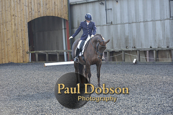 dressage-6856