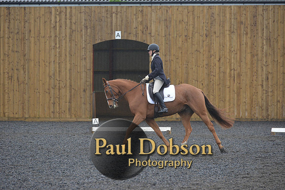 dressage-6621