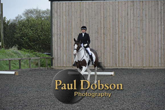 dressage-5919