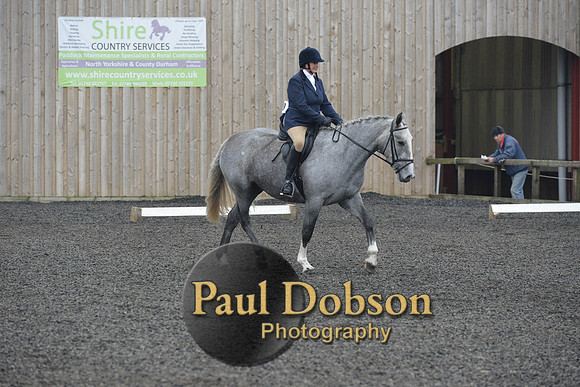 dressage-4902