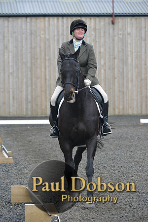 dressage-5472