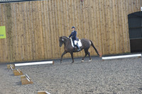 dressage-6864