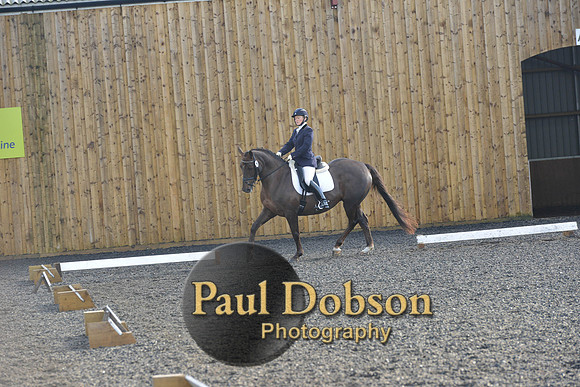 dressage-6864