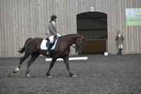 dressage-4887