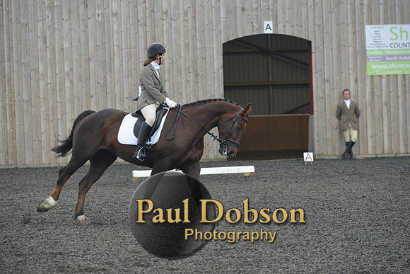 dressage-4887