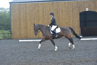 dressage-6756