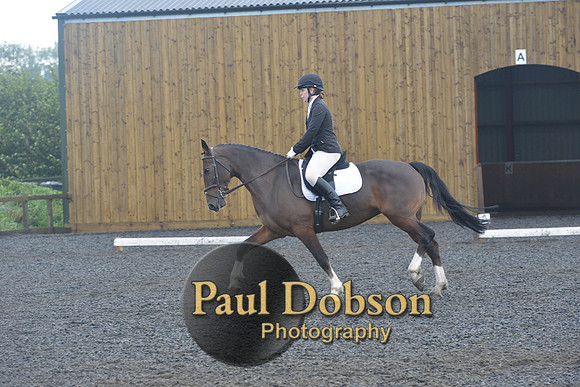 dressage-6756