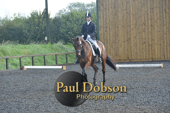 dressage-6810