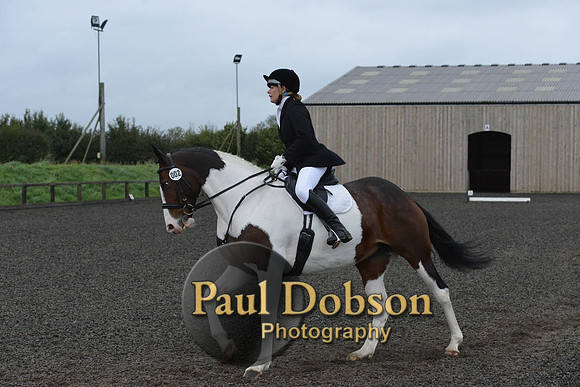 dressage-5931