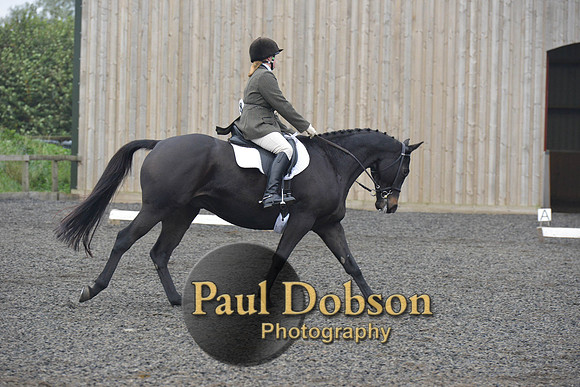 dressage-5214
