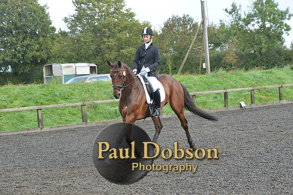 dressage-6896