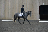 dressage-4108