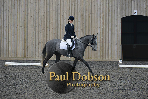 dressage-4108