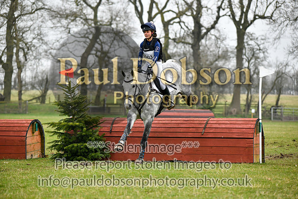 xc2_1197r