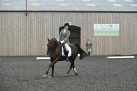 dressage-4884