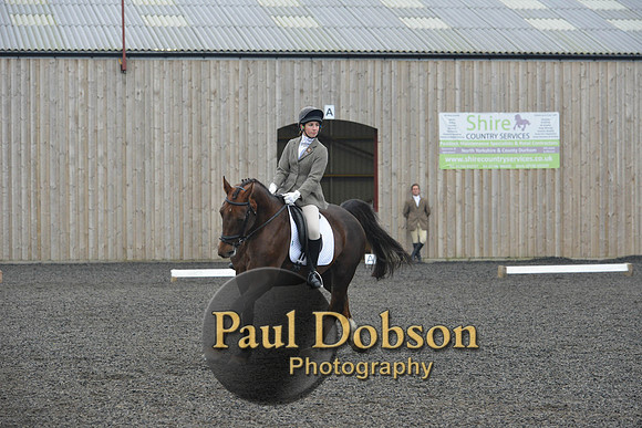 dressage-4884
