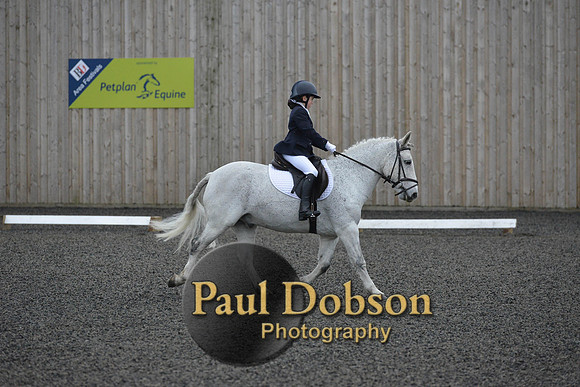 dressage-5989