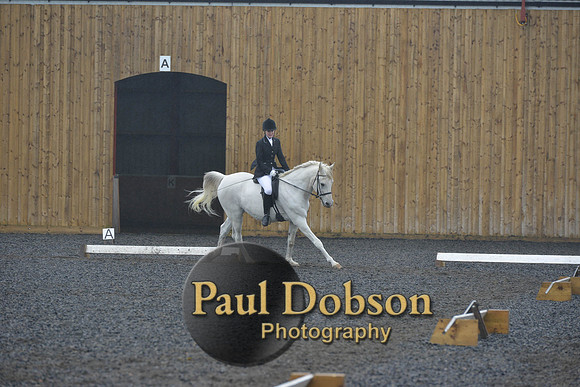 dressage-6485