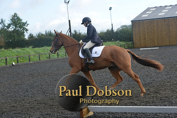 dressage-6789