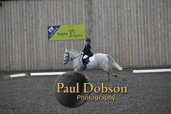 dressage-5993
