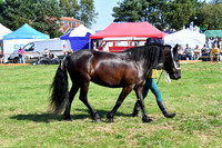 c11_1298