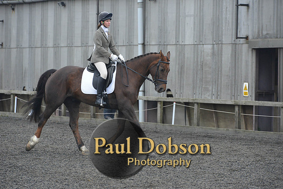 dressage-4871