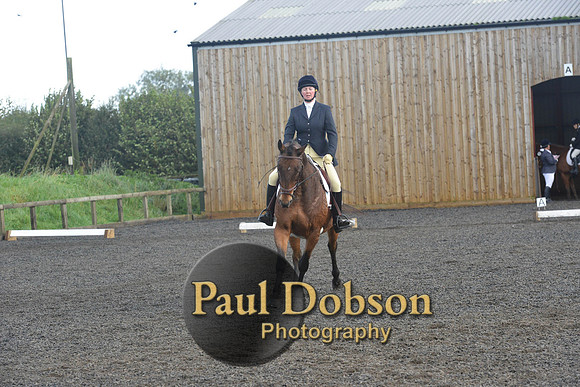 dressage-7287