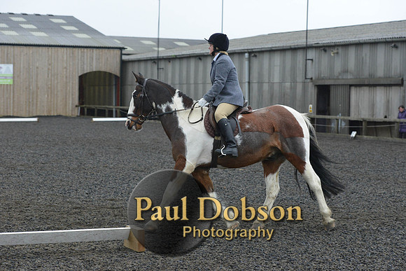 dressage-6318